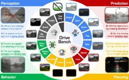 Trados 2025教程怎么学？新手入门指南是什么？