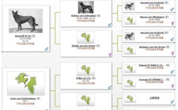Discuz X3.2教程从哪开始学？
