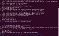 如何在ROS launch文件中调用Python脚本？