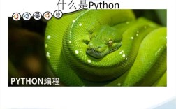 中谷Python视频教程如何学透编程基础？