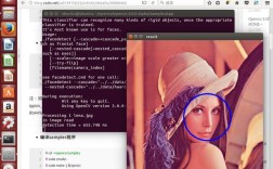 Ubuntu 14.04如何安装Java？