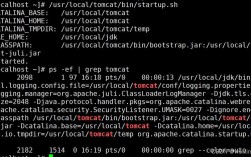 Tomcat视频教程该怎么学？