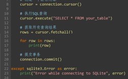 Python中SQL参数如何正确使用？