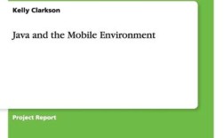 Java的Environment变量如何配置与使用？