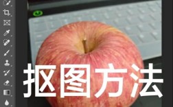 Photoshop教程，新手如何快速入门？