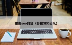 狼雨SEO教程网上店铺靠谱吗？