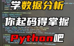 Python作业如何高效完成？