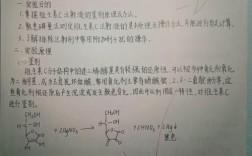 vb实验教程实验四答案