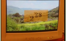 Python挑战是什么？