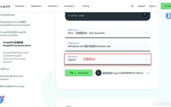 Python MongoDB安装步骤是怎样的？