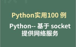 Python socket 10022错误如何解决？