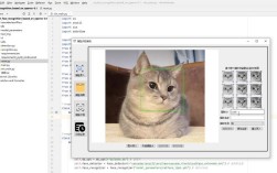 OpenCV for Java如何快速入门？