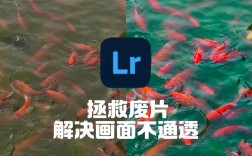 手机Lightroom怎么用？新手入门教程看这里！