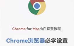 Chrome插件教程，如何轻松安装与使用？