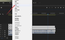 premiere cs6 教程 下载