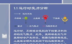 乒乓球初学者怎么学？教学视频教程从哪看？