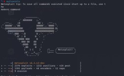 Metasploit教程怎么学？入门到精通要多久？