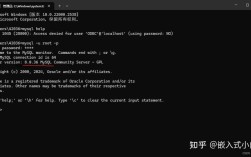 java 测试oracle连接