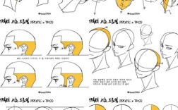 Anime Studio教程该怎么学？入门到精通有路径吗？