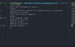 Java实现WebSocket聊天室，如何实现？