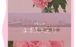 VSCO少女粉怎么调？新手也能学吗？