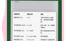 strunct python 整数