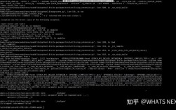 Terminal如何退出Python交互环境？