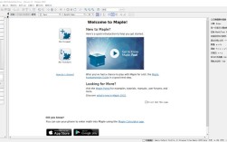 maple教程.pdf如何快速上手？