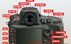 佳能450D新手怎么快速上手操作？