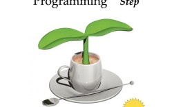 Java Step by Step 如何高效入门？