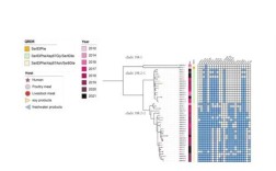 R Studio教程怎么学？新手入门指南？