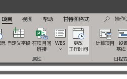 Project2025教程怎么学？入门到精通指南？