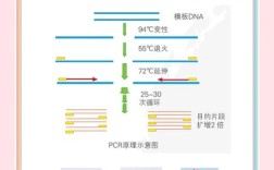 如何快速掌握HTML5响应式布局？
