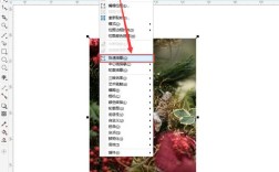 coreldraw抠图教程