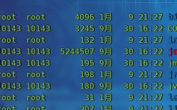 Linux Java环境变量如何正确配置？