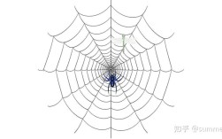 Python spidermain如何高效抓取数据？