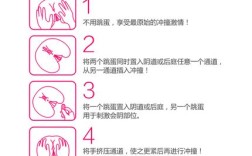 Clementine教程该怎么学？