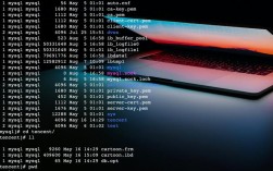 Java中Berkeley DB如何高效使用？