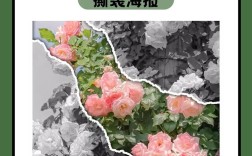 想用PS快速制作惊艳特效？零基础也能学会吗？，或者，，PS大神都在用的神技，简单几步就能做出高级感？