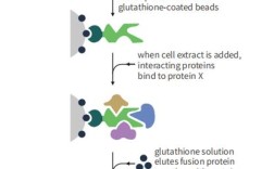 Sarscape教程如何上手？