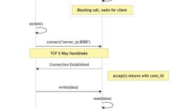 c socket编程视频教程怎么学更高效？