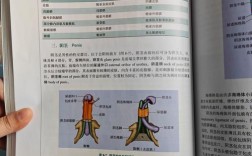 林文信12小时基础教程，12小时能学会钢琴吗？