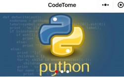python interface g