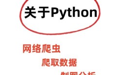 FreeRadius与Python如何交互集成？