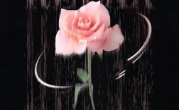 Photoshop海报设计教程，新手如何快速入门？