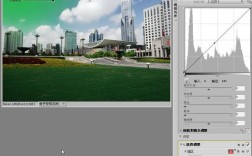 Capture NX2教程怎么学？新手入门指南是什么？