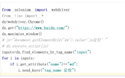 Selenium for Python怎么用？入门指南或实战技巧？