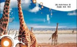 ActionScript3.0教程从哪学？新手入门怎么学？