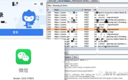 Burp Suite抓包教程，新手如何快速上手？