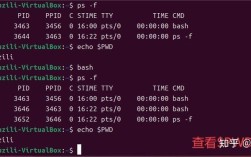 Linux shell教程，如何快速入门？